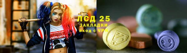 соль ск Ладушкин