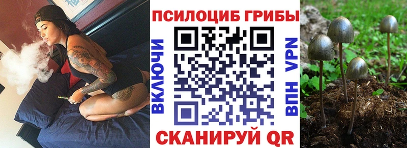 Галлюциногенные грибы GOLDEN TEACHER  МЕГА онион  Цимлянск 